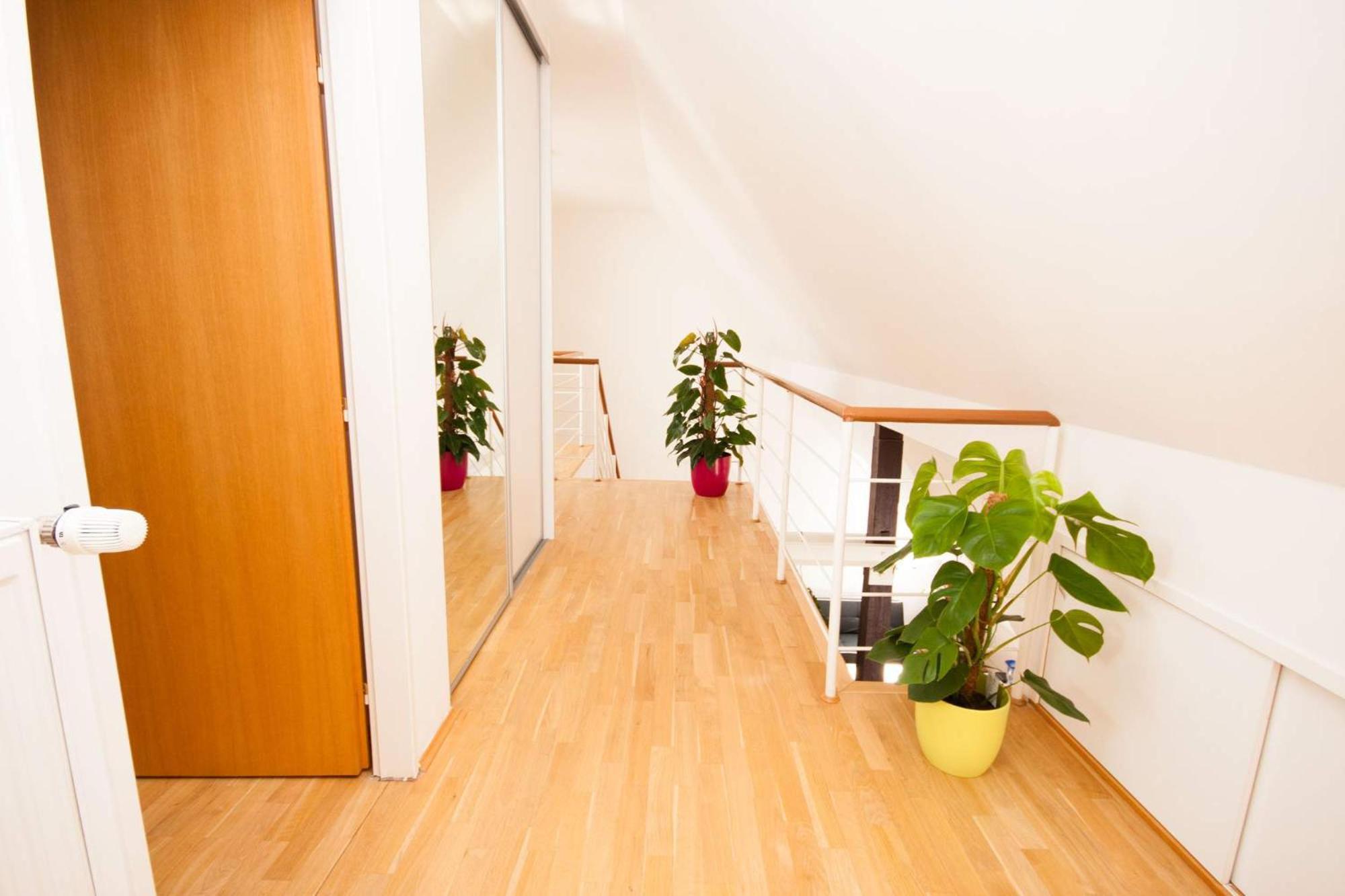 Kozi Loft Old Town Praga
